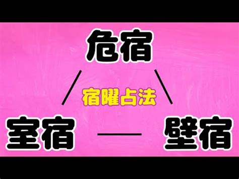 壁宿|壁宿（へきしゅく）｜飾らない堅実な世話好き